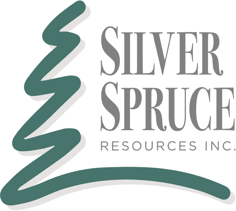 Silver Spruce adquiere el 100% del proyecto de oro y plata Jackie